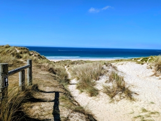 Spring Awakens Cornwall: Best Coastal Walks & Sea Views Right Now